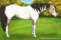 Horse Color:Liver Red Dun Splash Near Fewspot 