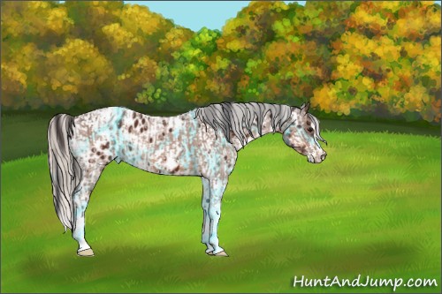 Horse Color:Bay Ice  and Thunderstruck Silver Brown Sabino Tobiano Near Leopard 