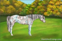 Horse Color:Bay Ice and Thunderstruck Silver Brown Sabino Tobiano Near Leopard