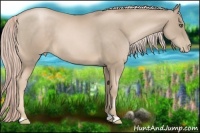 Horse Color:Chocolate Palomino Pearl 