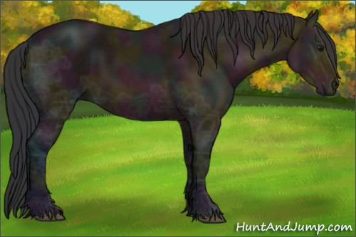 Horse Color:Midnight Bay Ice