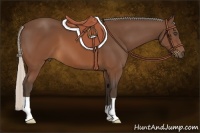Horse Color:Silver Brown 
