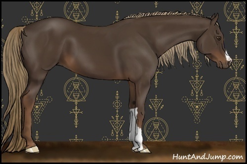 Horse Color:Liver Chestnut 