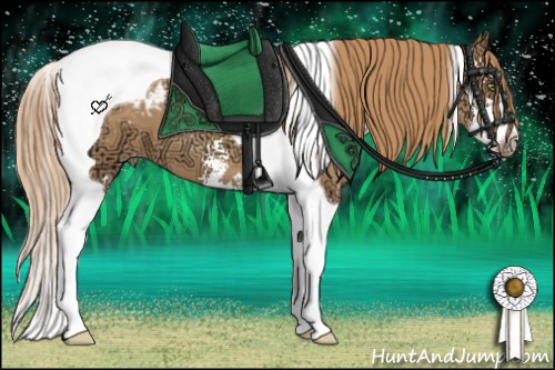 Horse Color:Gold Champagne Ice Sabino Tobiano Appaloosa 