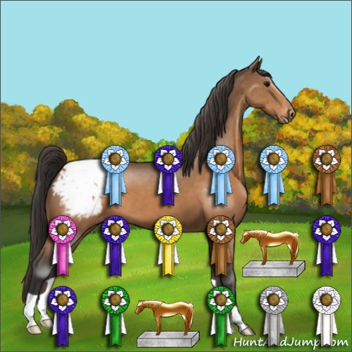 Horse Color:Buckskin Appaloosa