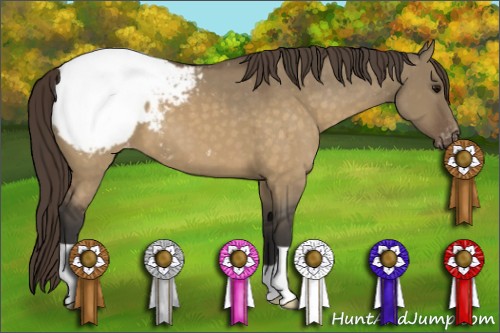 Horse Color:Buckskin Dun Snowcap 