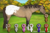 Horse Color:Buckskin Dun Snowcap 