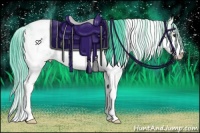 Horse Color:Watercolor Liver Red Dun Sabino 