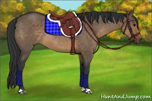 Horse Color:Brown Dun 