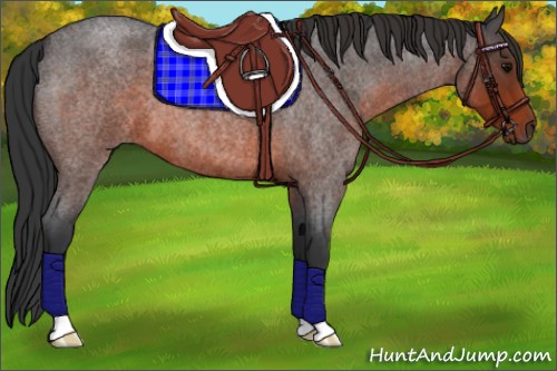 Horse Color:Brown Roan 