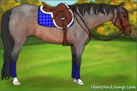Horse Color:Brown Roan