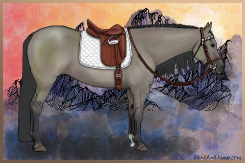 Horse Color:Grullo 