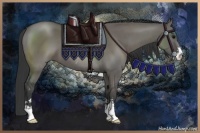 Horse Color:Grullo Sabino 