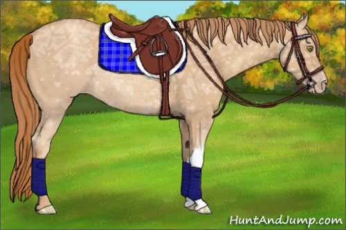 Horse Color:Gold Champagne Ice Roan Rabicano 