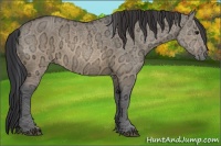 Horse Color:Brown Ice Dun