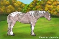 Horse Color:Silver Black Ice Tobiano