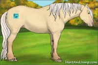 Horse Color:Silver Sable Cream Champagne Dun