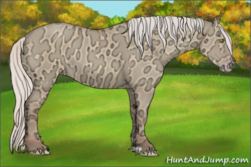 Horse Color:Silver Sable Champagne Ice Dun