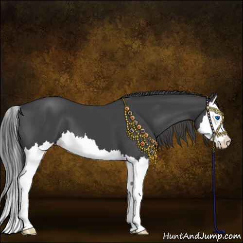 Horse Color:Smoky Black Splash 