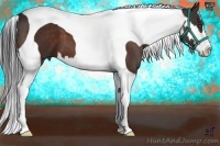 Horse Color:Bay Splash Tobiano Frame 