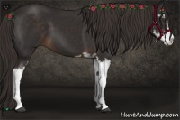 Horse Color:Liver Chestnut Sabino 