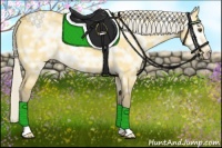 Horse Color:Silver Buckskin Ice Dun