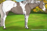 Horse Color:Silver Black Splash Tobiano Snowcap 