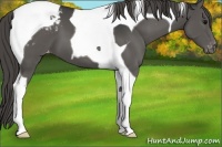 Horse Color:Grullo Tobiano Varnish 