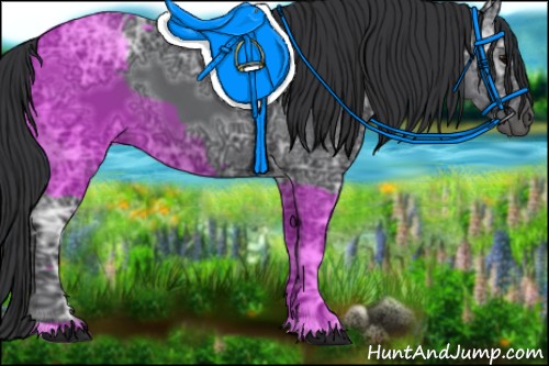 Horse Color:Black Ice 