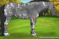 Horse Color:Black Ice 