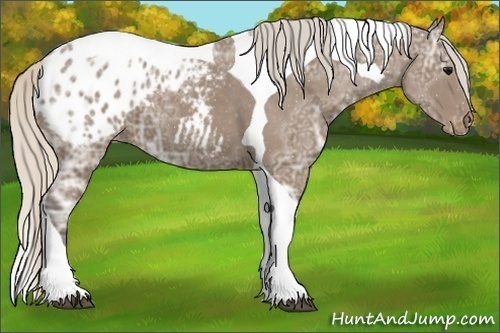 Horse Color:Silver Black Ice Tobiano Varnish