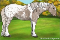 Horse Color:Silver Black Ice Tobiano Varnish 