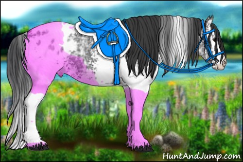 Horse Color:White Spotted Black Ice Varnish 