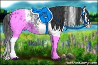 Horse Color:White Spotted Black Ice Varnish