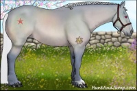 Horse Color:Watercolor Silver Bay Chinchilla Rabicano 
