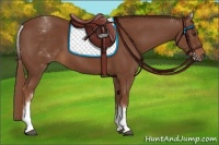 Horse Color:White Spotted Chestnut Sabino