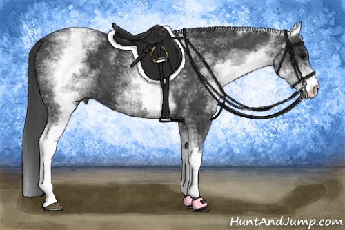 Horse Color:White Spotted Black 