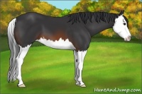 Horse Color:Brown Splash
