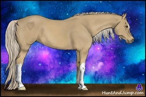 Horse Color:Palomino 