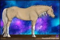 Horse Color:Palomino
