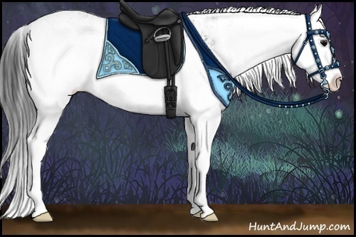 Horse Color:Grullo Sabino Splash