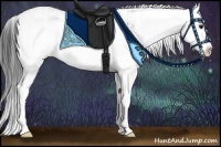 Horse Color:Grullo Sabino Splash