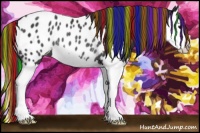Horse Color:Painted Black Splash Appaloosa Rabicano 