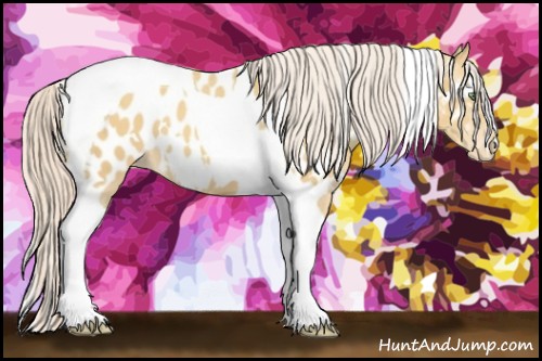 Horse Color:White Spotted Gold Cream Champagne Tobiano Near Leopard