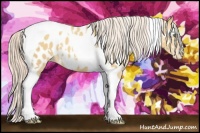 Horse Color:White Spotted Gold Cream Champagne Tobiano Near Leopard