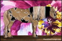 Horse Color:White Spotted Chocolate Palomino