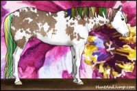 Horse Color:Painted White Spotted Brown Dun Sabino Splash Rabicano