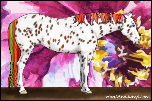 Horse Color:Painted White Spotted Bay Splash Appaloosa Rabicano 