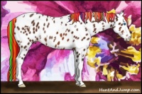 Horse Color:Painted White Spotted Bay Splash Appaloosa Rabicano 