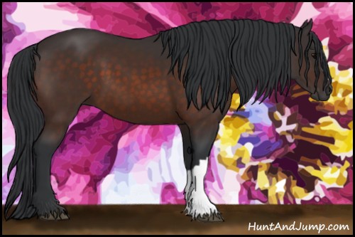Horse Color:Brown 